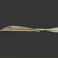 Stingray With Flat Circular Body Light And Dark Spots And Long Slender Tail 3d model