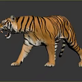 3D Rendered Tiger with Orange Fur Black Stripes Open Mouth on Black Background Ground Reflection