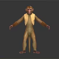3D Rendered Monkey Model in Standing Pose With Vest Like Clothing on White Background