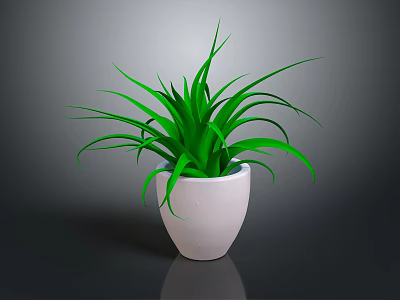 Vibrant Green Plant In White Ceramic Pot With Dark Background And Fresh Leaves 3d model