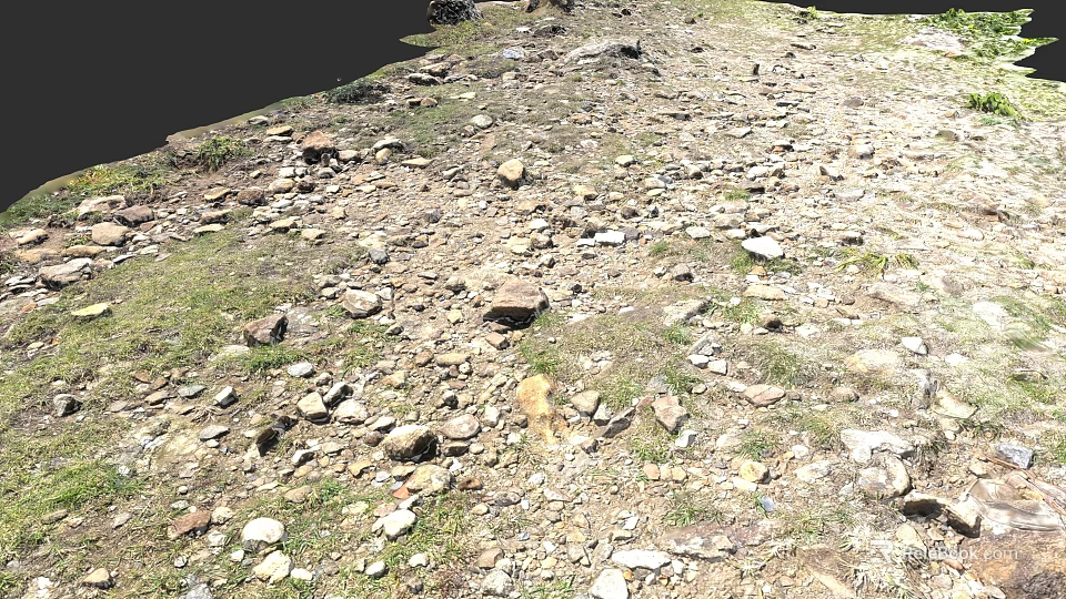 Micro Terrain With Scattered Rocks And Sparse Grass Natural Surface Features 3d model 
