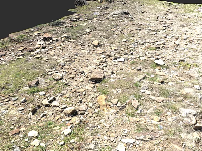 Micro Terrain With Scattered Rocks And Sparse Grass Natural Surface Features 3d model
