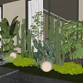 Modern Outdoor Plant Combination with Large Greenery Cacti Ferns Lawn and Round White Lights