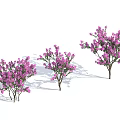 Three Arbor Trees With Purple Flowers Against Blue Sky Background