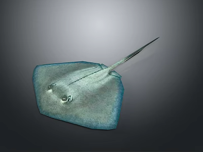 Marine Ray With Flat Teal Body And Long Tail In Gray Underwater Environment 3d model