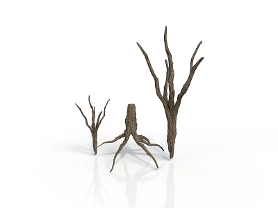 Dry Plant Branches With Various Heights And Shapes On White Background 3d model