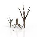 Dry Plant Branches With Various Heights And Shapes On White Background