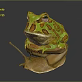 Frog Poison Frog Game Frog Reptile Cold Blooded Animal Reptile 3d model