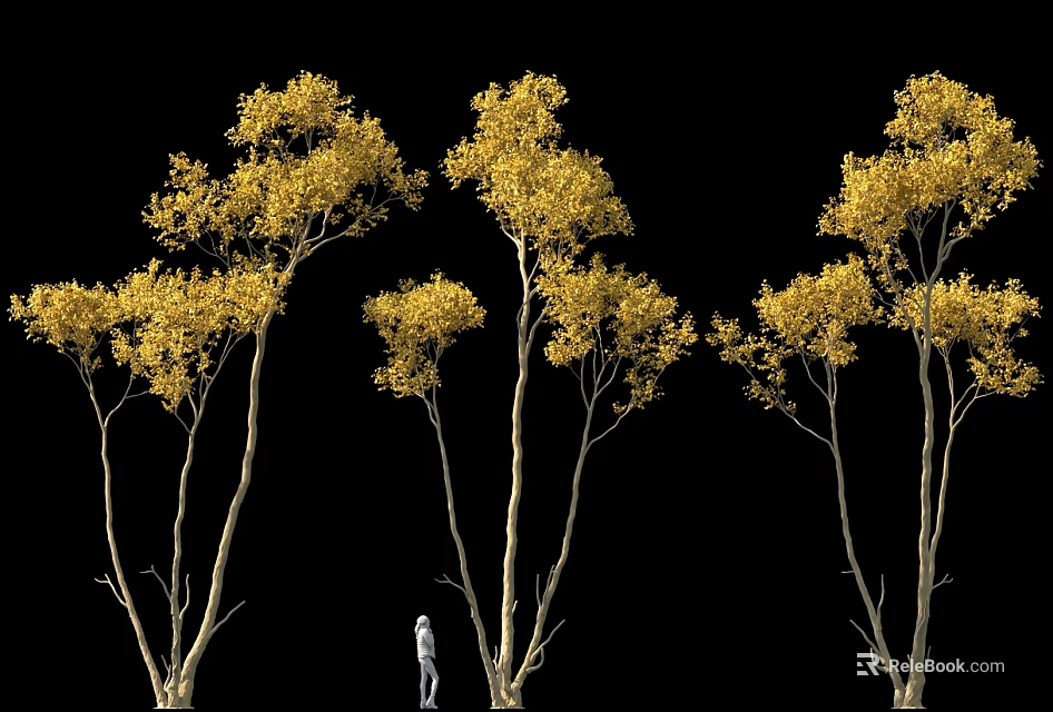 Golden Trees With Tall Trunks Vibrant Foliage And Silhouette Figure On Black Background 3d model 