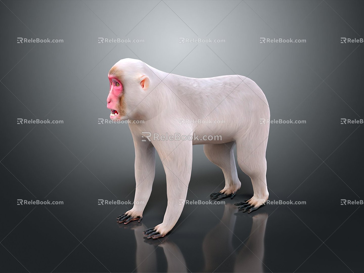 Monkey Monkey Cartoon Monkey Anime Monkey Stylized Monkey Fantasy Style Monkey Toy 3d model