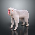 Monkey Monkey Cartoon Monkey Anime Monkey Stylized Monkey Fantasy Style Monkey Toy 3d model