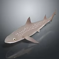 Spotted Shark 3D Model With Light Brown Body Dorsal Fins And Reflection On Dark Background 3d model