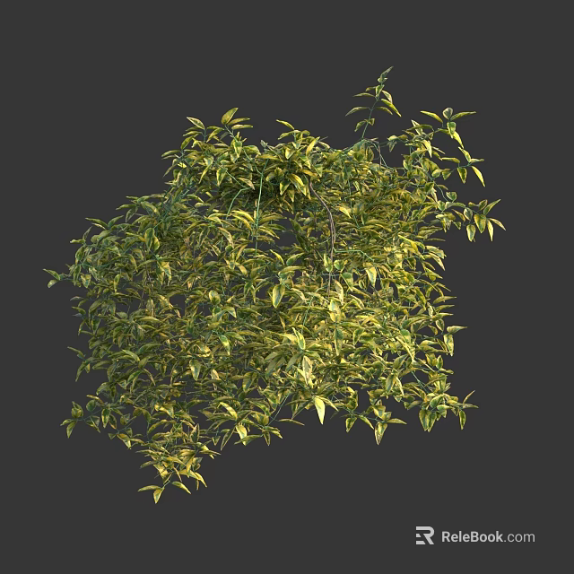 Lush Green Vines With Vibrant Leaves Growing Densely In Natural Setting 3d model 