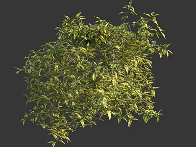 Lush Green Vines With Vibrant Leaves Growing Densely In Natural Setting 3d model