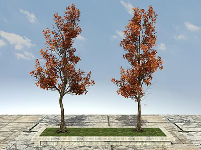 Two Trees With Orange Red Leaves On Stone Pavement And Grassy Area Under Blue Sky 3d model