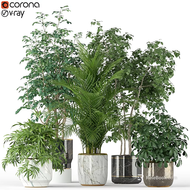 Decorative Ornament Set Featuring Assorted Green Plants In Modern Marble Planters 3d model 