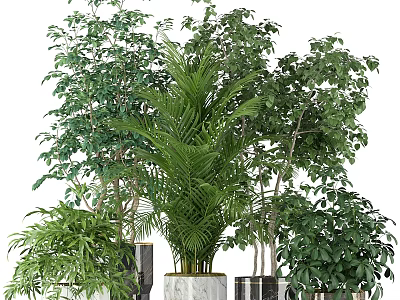 Decorative Ornament Set Featuring Assorted Green Plants In Modern Marble Planters 3d model