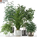 Decorative Ornament Set Featuring Assorted Green Plants In Modern Marble Planters