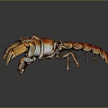 Red Crayfish With Vibrant Red Shell And Prominent Claws Isolated On Dark Background
