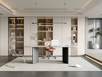 Study Bookcase Display Cabinet Green Plant Chandelier Office Chair Leisure Chair Long Chandelier 3d model