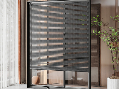 Modern blinds model