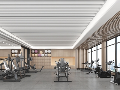 Modern Gym 3d model