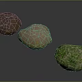 Natural Decorative Stones with Brown Beige Green Irregular Shapes on Dark Surface