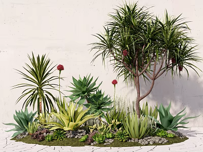 Stunning Outdoor Plant Combination With Palm Tree Aloe Succulents Red Flowers And Decorative Stones 3d model