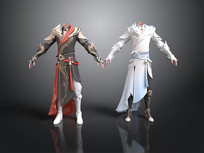 Man Wearing Two Different Elaborate Robes with Dark and Light Color Schemes 3d model