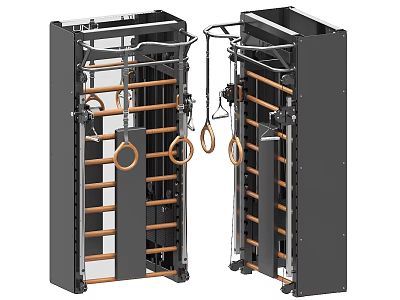 Dual Frame Gym Training Equipment With Metal Structure Wooden Bars And Gymnastic Rings 3d model