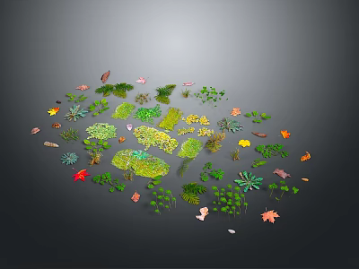 Diverse Plants Collection With Colorful Leaves Various Shapes And Small Herbs 3d model