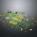 Diverse Plants Collection With Colorful Leaves Various Shapes And Small Herbs