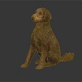 Brown Curly Haired Dog Sitting Gracefully On Dark Background With Reflection 3d model