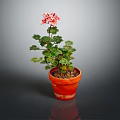 Healthy Pink Flowering Potted Plant With Green Leaves In Orange Clay Pot