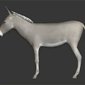 Gray Donkey Full Body Standing on Dark Background with Reflection on Shiny Surface 3d model