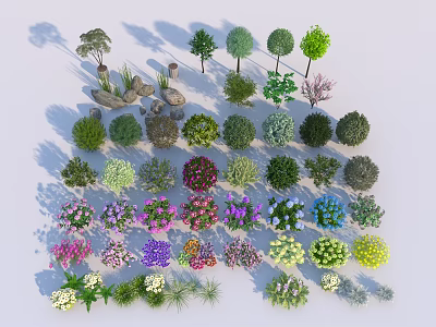 Various Colorful Shrubs For Garden Landscaping With Diverse Shapes And Sizes 3d model