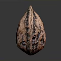 Natural Walnut Food With Brown Textured Surface And Organic Shape Details