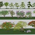 Diverse Arbor Varieties Showcasing Different Shapes And Vibrant Foliage 3d model