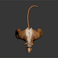 Anthropomorphic Lion 3D Character Standing With Muscular Build Orange Fur White Mane And White Claws