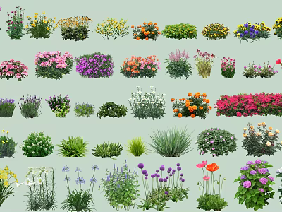 Different Types Of Colorful Flowering Shrubs With Various Blooms And Foliage 3d model