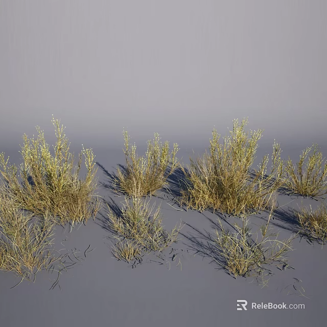 Dry Grass Clumps On Gray Background With Various Heights Different Shapes And Shadow Projection 3d model 