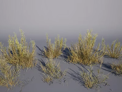 Dry Grass Clumps On Gray Background With Various Heights Different Shapes And Shadow Projection 3d model