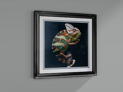 Colorful Chameleon Animal Painting with Detailed Skin in Black Frame on Gray Wall 3d model