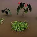 Diverse Green And Colorful Foliage Plants Arranged On Brown Background Surface