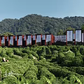 Scenic Tea Garden Landscape With Trimmed Bushes Distant Mountains Red Buildings And Glass Structures