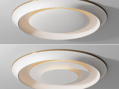 Modern Minimalist Ceiling Light With Circular Design And White Gold Frame For Soft Warm Lighting 3d model