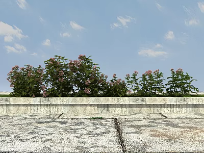 Pink Blooms And Green Leaves Of Flowers Against Blue Sky With White Clouds By Concrete Low Wall On Gray Ground 3d model
