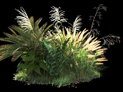 Lush Green Bushes With Diverse Plants And Feathery Grass Blades In Garden 3d model