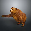 Detailed Realistic Brown Bear Sculpture Standing Pose With Extended Front Paw