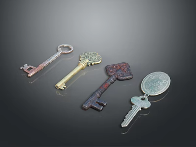 Various Styles Of Household Keys With Vintage Modern Designs And Round Pendant 3d model